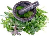 Fitoterápia «Uso de Plantas Medicinales»