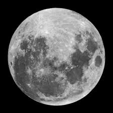 Influencia de la luna en las plantas del jardín