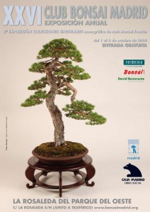club bonsai club bonsai