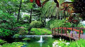 Jardines tropicales