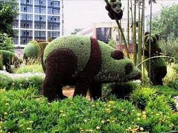 Escultura en plantas