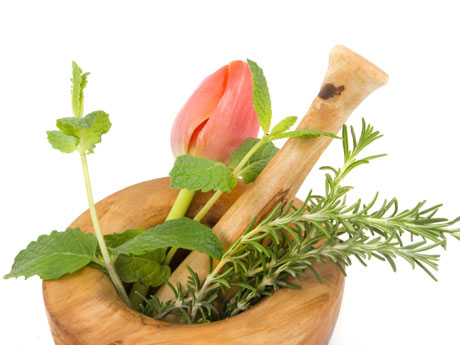 Plantas como ayuda en enfermedades