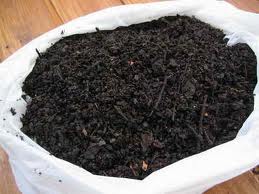 Cómo hacer compost casero