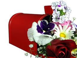 Comprar plantas online