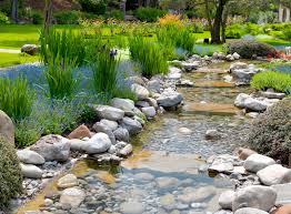 Instalar un jardín de agua