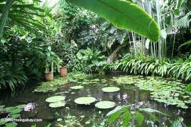 Jardín Botánico de Bogotá