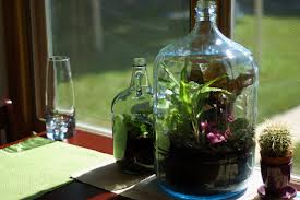 Jardines en botellas
