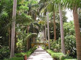 Jardín Botánico Aswan, Egipto