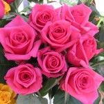 Wallpapers de rosas 2