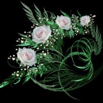 Wallpapers de rosas 3