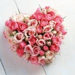 Wallpapers de rosas 6