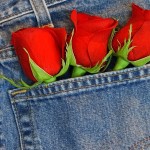 Wallpapers de rosas 7