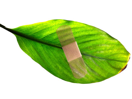 heridas