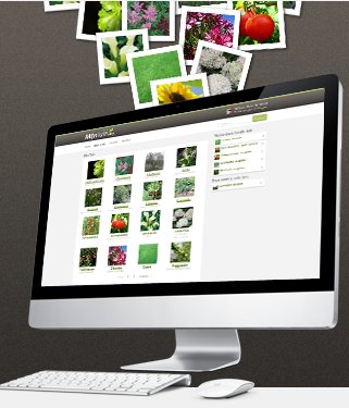 Una red social para amantes de las plantas