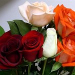 El lenguaje de las flores