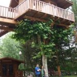 Casas en los árboles 1