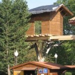 Casas en los árboles 2