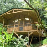 Casas en los árboles 3