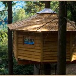 Casas en los árboles 4