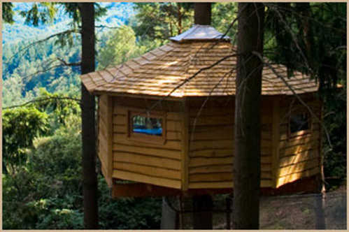 Casas en los árboles