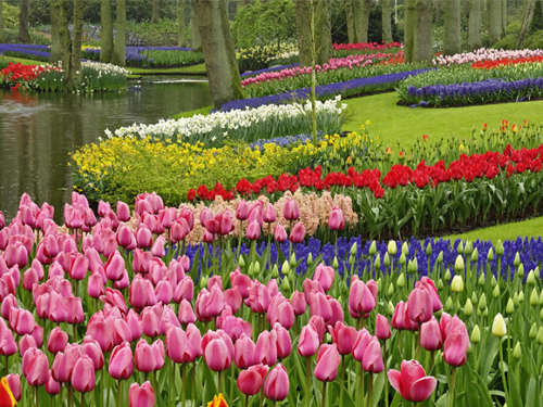 Jardín Keukenhof Spring Gardens