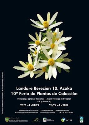 10ª Feria de Plantas de colección