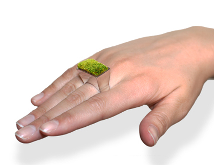 Una planta de anillo