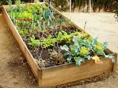 Tu jardín por menos