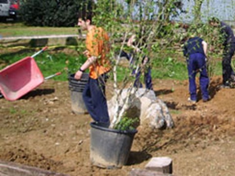 Técnico en Jardinería y Floristería