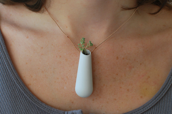 Una planta en un collar