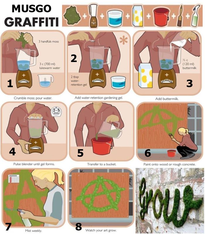 Graffiti con musgo