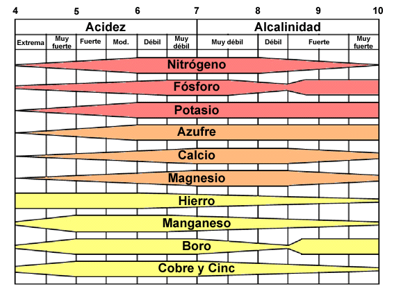 El pH del suelo es importante
