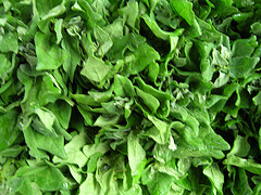 Espinaca