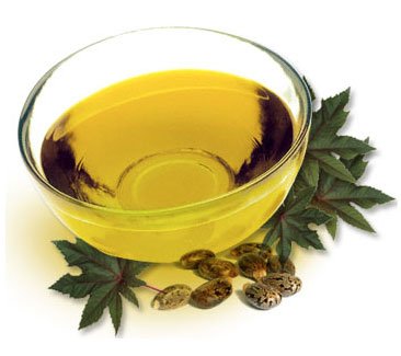 Planta de Aceite de ricino