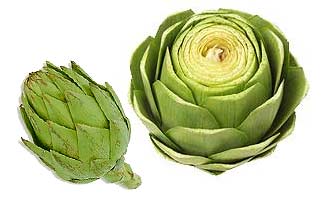 Alcachofa (Cynara scolymus)