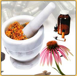 Las Plantas medicinales: Generalidades