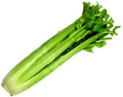 Apio (Apium graveolens)