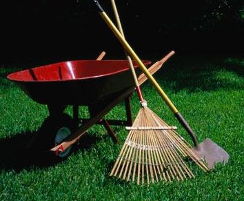 Plantando el césped
