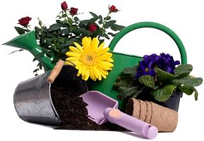 Consejos para los nuevos jardineros