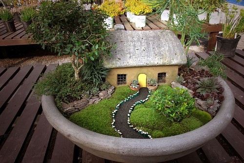 Construye un jardín en miniatura