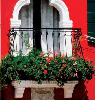 Jardinero sin jardín