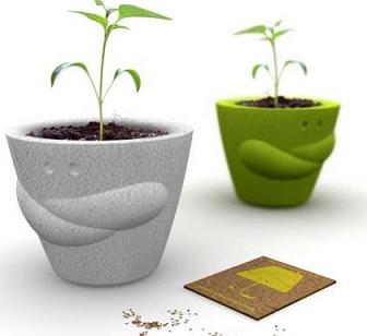 Consejos para plantar en maceta