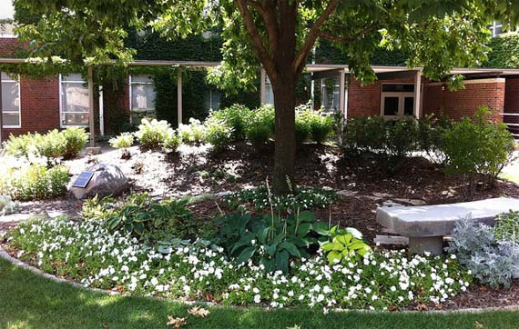 Tendencias actuales en jardines