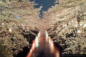 hanami