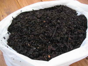 compost-casero