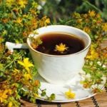 Infusión para plantas
