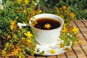 Infusiones para cuidar tus plantas