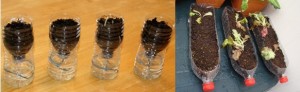 Botellas