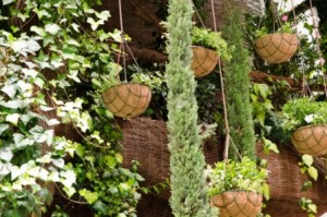 Cestas colgantes