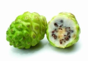 Fruto del noni